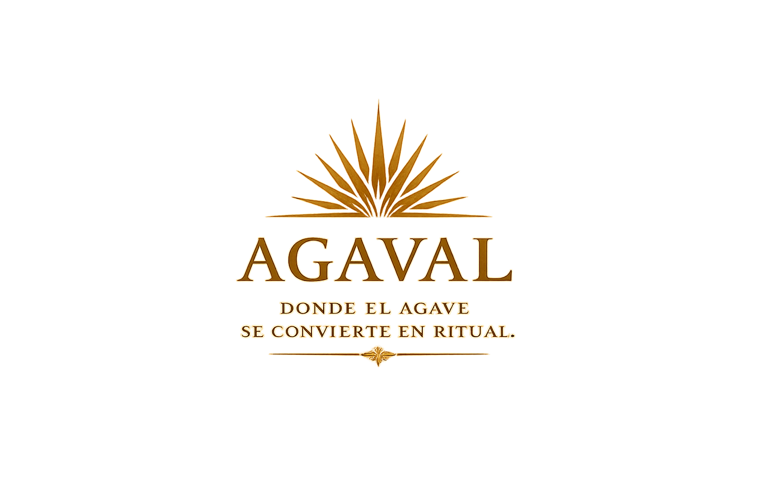 Agaval - Tequila, Experiencias y  Souvenirs